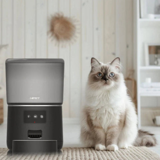 Cat sitting next to a black electronic device on a wooden floor.