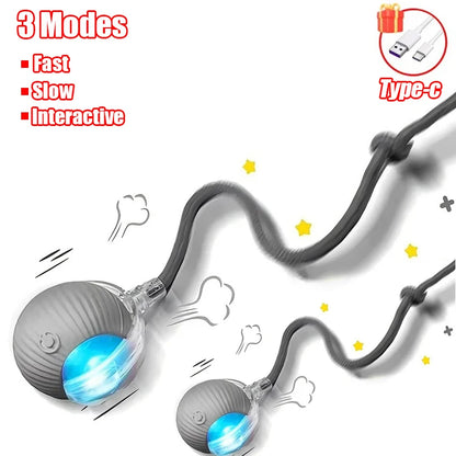 Rechargeable Smart Pet Electric Toy Dog Cat Training Imitate Mouse