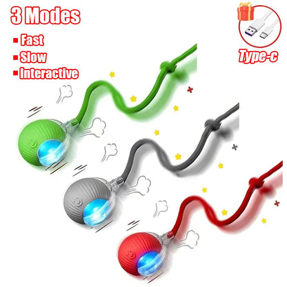 Rechargeable Smart Pet Electric Toy Dog Cat Training Imitate Mouse