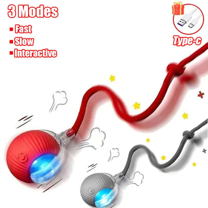 Rechargeable Smart Pet Electric Toy Dog Cat Training Imitate Mouse