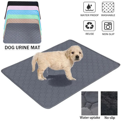 Washable Pee Pads for Dogs & Cats